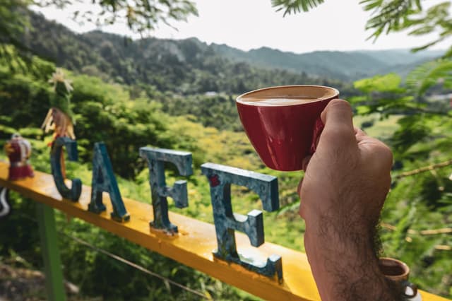 Puerto Rico despierta tus sentidos